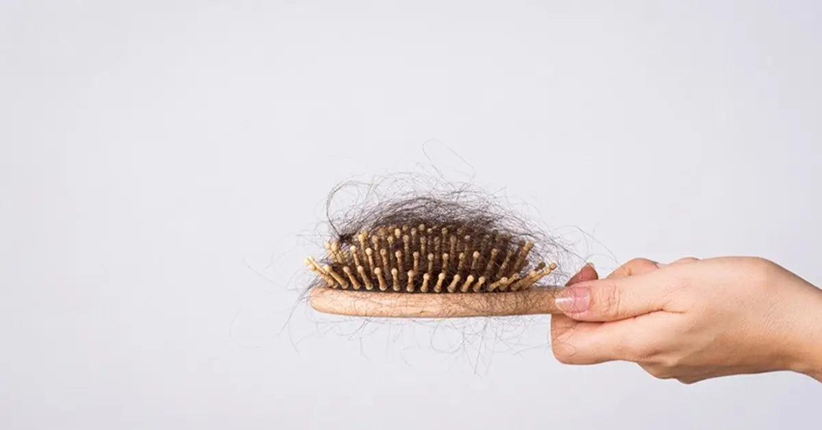 Hand holding a hairbrush with shed hair caught in the bristles