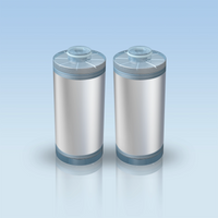 Seplite® Refill 2-pack